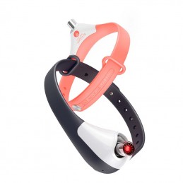 Laser Cat Collar Cheerble KiTiDOT