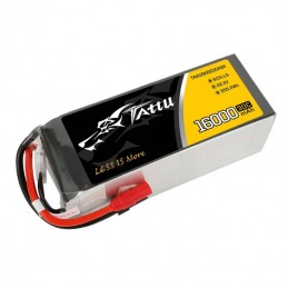 Battery Tattu 16000mAh 22.2V 30C 6S1P LiPo AS150+XT150