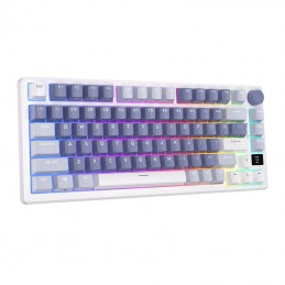 Mechanical keyboard Royal Kludge RKM75 RGB, Silver switch (blue)