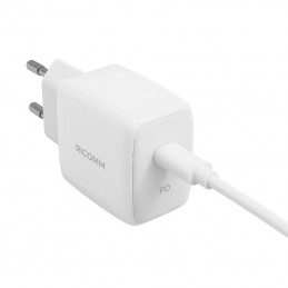 Wall Charger 25W PD Ricomm RC251 EU, 1xUSB-C + 2.1m USB-C Cable