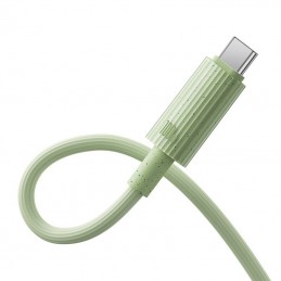 Fast Charging cable Baseus USB to USB-C Habitat Series 2m 100W (green)