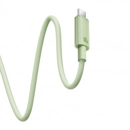 Fast Charging cable Baseus USB to USB-C Habitat Series 2m 100W (green)