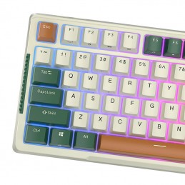 Mechanical keyboard Royal Kludge RKH81 RGB, Sky cyan switch (green)