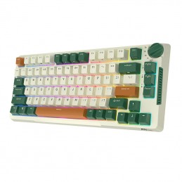 Mechanical keyboard Royal Kludge RKH81 RGB, Sky cyan switch (green)