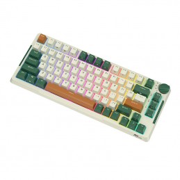 Mechanical keyboard Royal Kludge RKH81 RGB, Sky cyan switch (green)