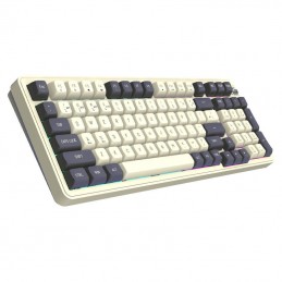 Darkflash DF98 Mocha Mechanical Keyboard (Yellow switches)