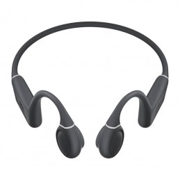 Earphones QCY T25 (dark grey)