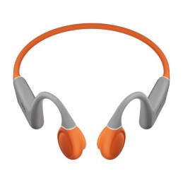 Earphones QCY T25 (grey+ orange)