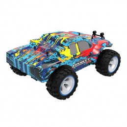 Remote control RC car with remote control 1-18 Double Eagle Buggy (high speed) E330-003