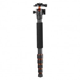 Tripod K - F Concept D255C4+BH-28L + Quick Release Plate ki