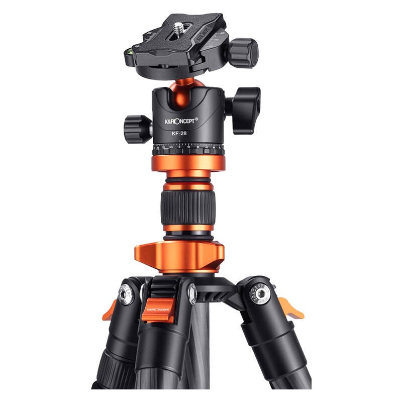 Tripod K - F Concept D254C1+BH-2