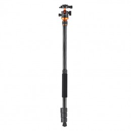 Tripod K - F Concept D254C1+BH-2