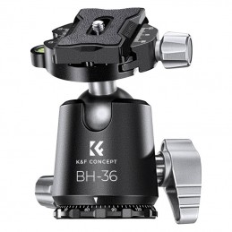 Tripod K - F Concept X284C4+BH-