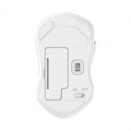 Wireless mouse Dareu LM115G 2.4G 800-1600 DPI (white)