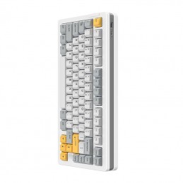 Mechanical keyboard Dareu A81 (white)